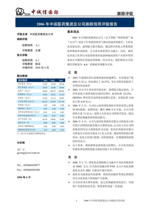 12006年中国医药集团总公司跟踪信用评级下载 在线阅读 爱问共享资料